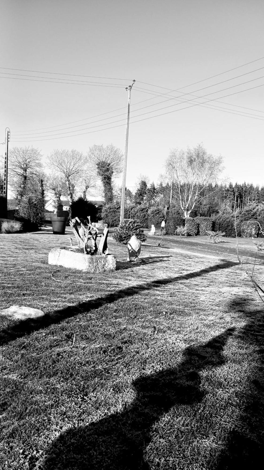 Gite En Campagne Lamegritniere Exterior foto
