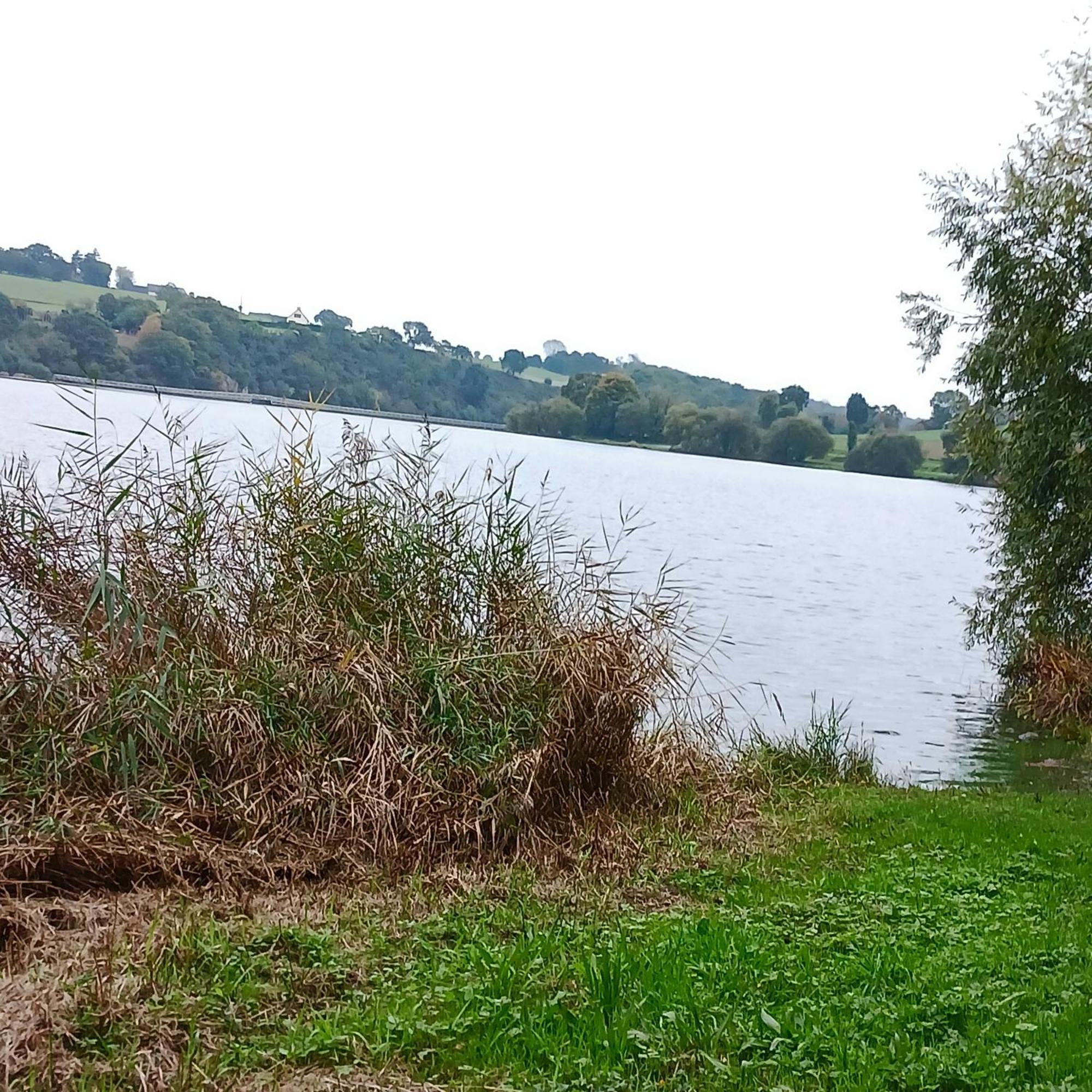 Gite En Campagne Lamegritniere Exterior foto